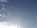 luftballons-fliegen2.JPG